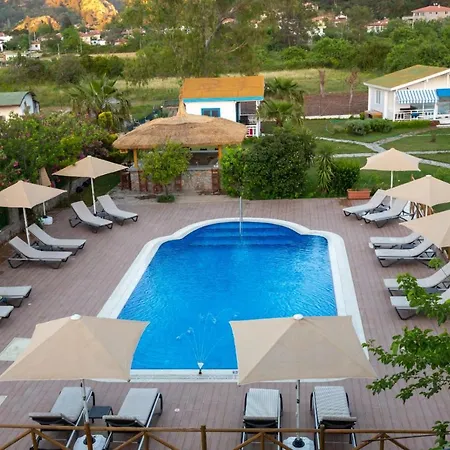 Palmiye Butik Orhaniye